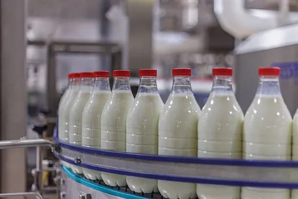 Pakistan Milk Production Nears 75 Million Tonnes as Meat Output Surges Nationwide