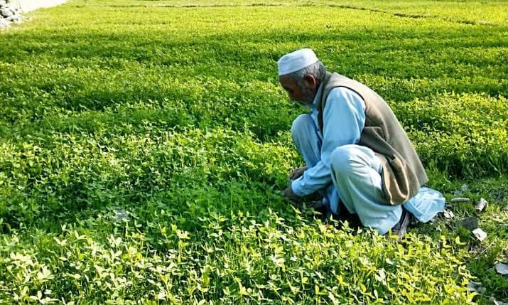 Fertiliser Trade Banned in Four Districts Over IED Threat Fears