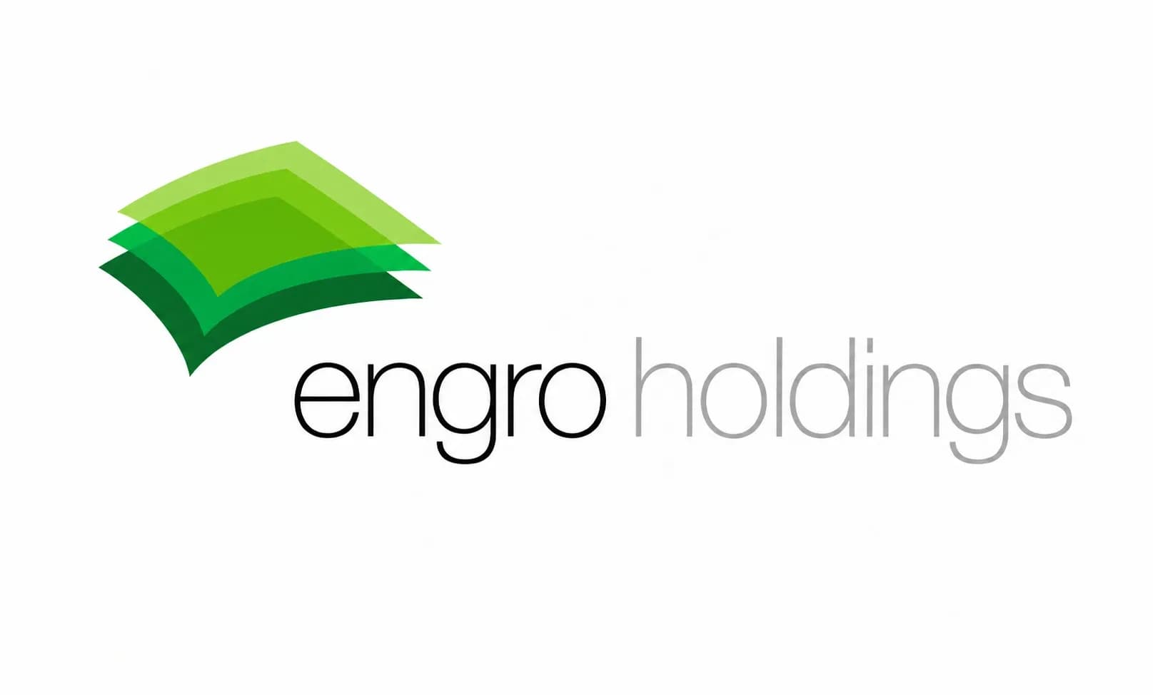 Engro Holdings Profit Crashes 56% But Core Earnings Jump 79%
