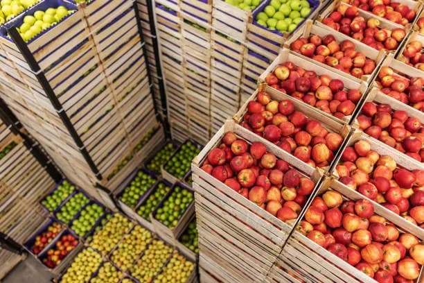 Saudi Arabia Sets $3 Billion Target For Pakistani Rice, Meat And Fruit