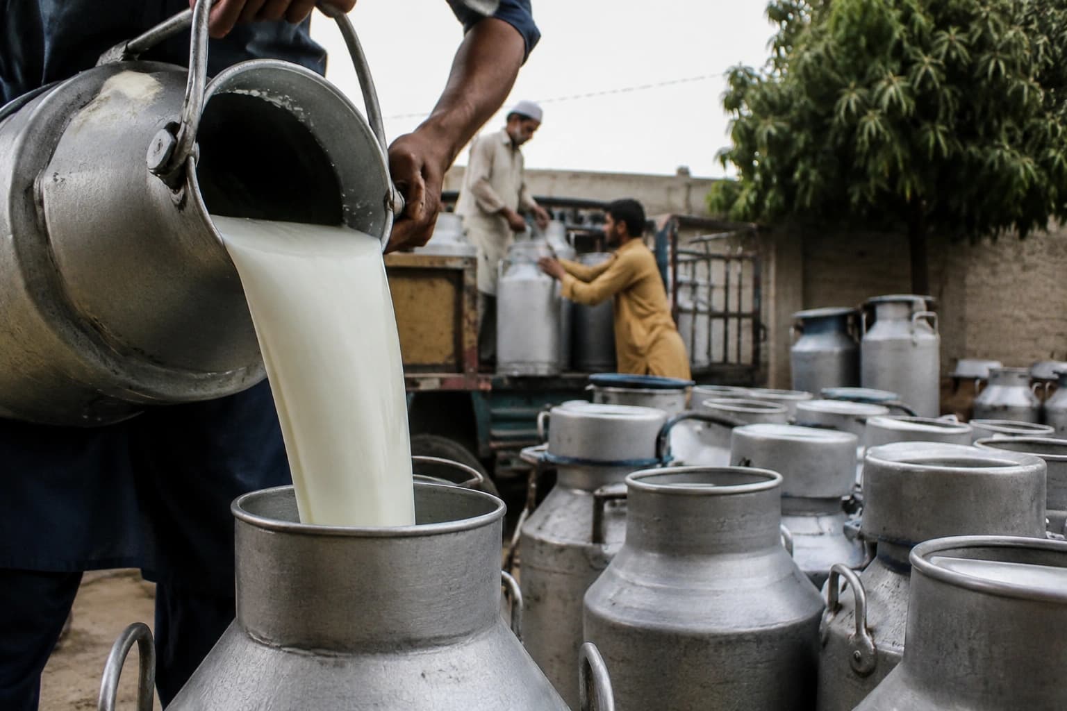 Karachi Faces Milk Crisis as Farmers Demand Massive Rs100 Price Hike