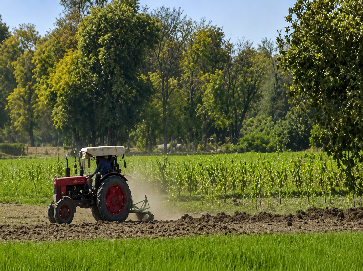 Punjab Leases 4 Acres of Land to Landless Farmers at Rs100 Per Year