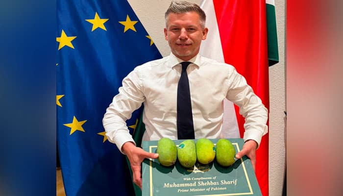 Ninety Mangoes, Sixty Minutes: Hungary's Prime Minister Wants More