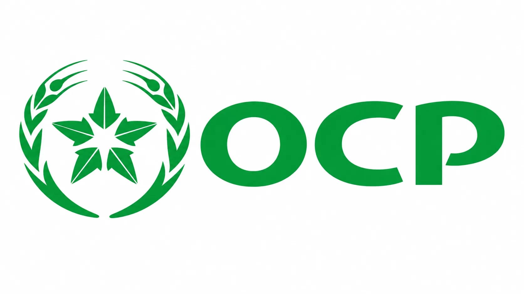 Moroccan Fertilizer Giant OCP Eyes Punjab as DAP Sales Collapse