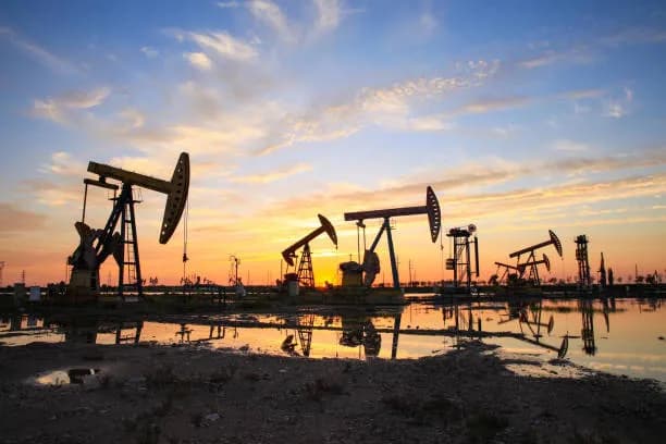 PPL Pockets Rs8.1bn Tax Relief, Set to Triple Pateji Gas