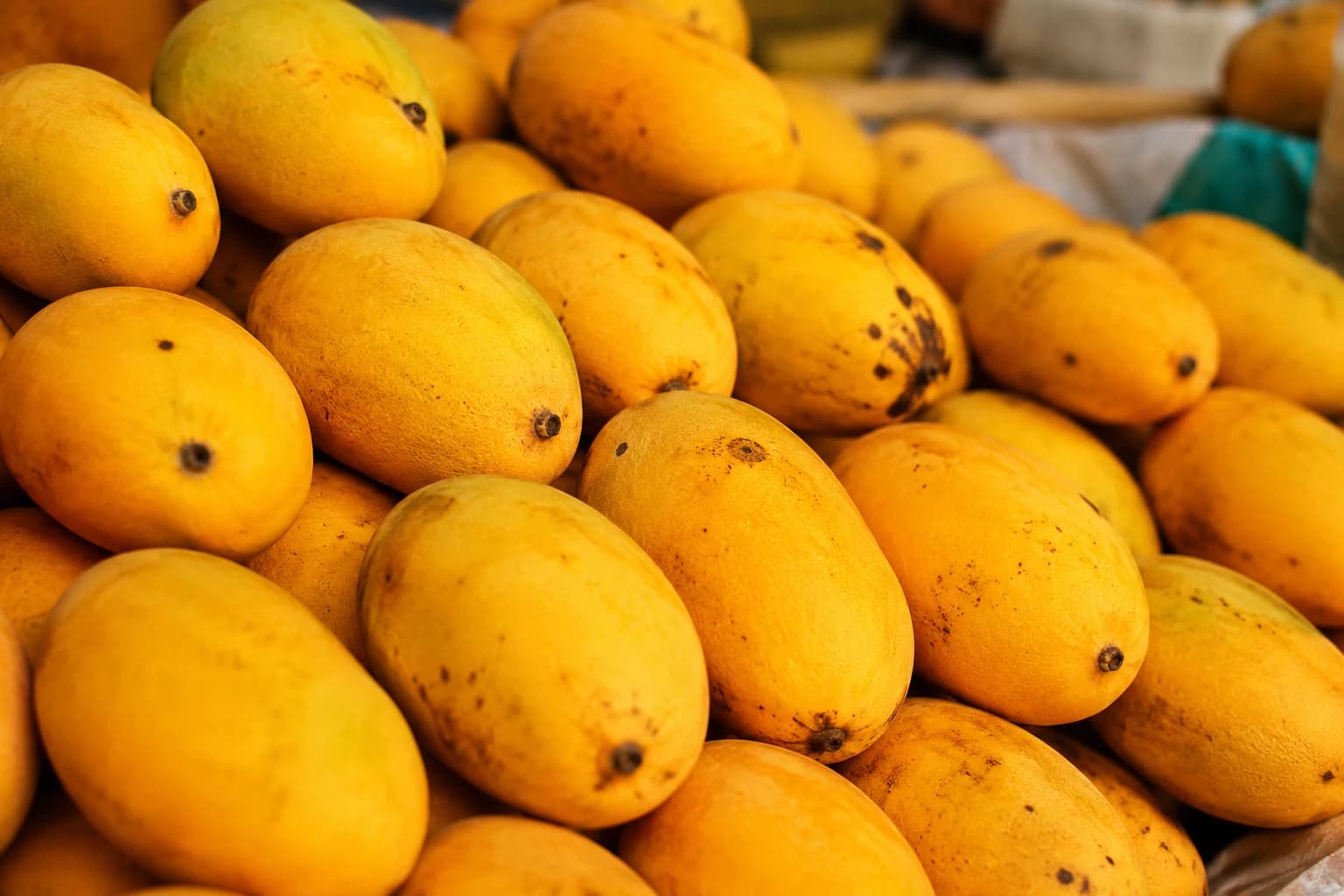 Geopolitical Turmoil Hammers Pakistan Mango Exports