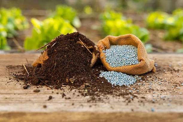 Four of Every Five Tonnes of Pakistan’s Urea Stock Belong to Engro Fertilizers