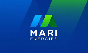Mari Energies profit