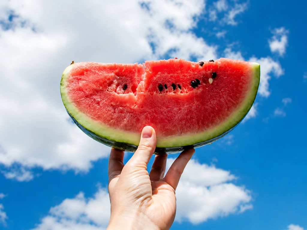 Injected watermelon in Pakistan chemical claims nutrition expert Ayesha Nasir ARY News consumer warning summer fruit