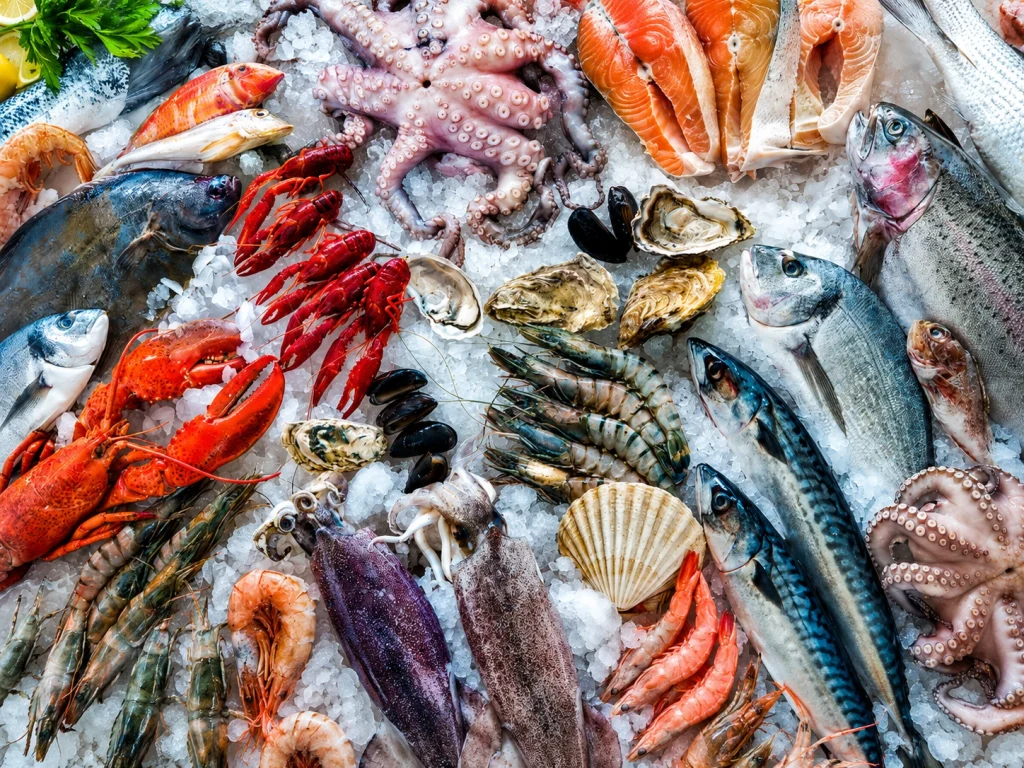 Pakistan seafood exports $500 million milestone Russia market 16 companies Korangi processing zone blue economy Junaid Chaudhry 2026