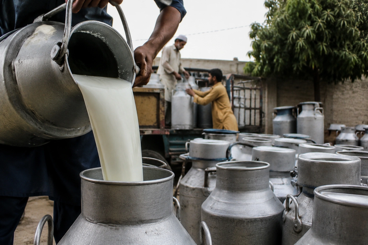 Karachi milk price hike fears grow as dairy farmers warn of a severe fresh milk crisis across the city