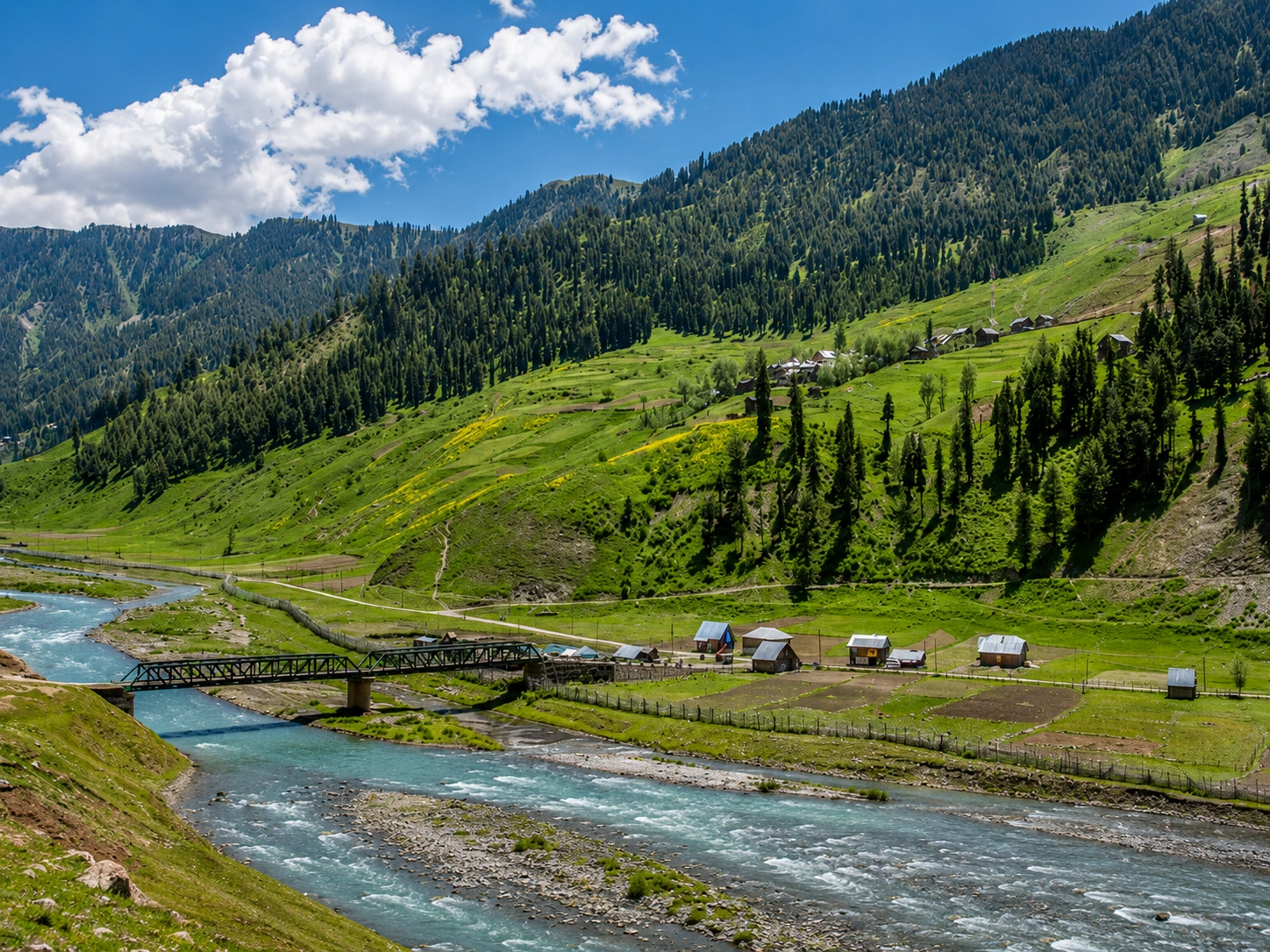 Indus Water Treaty escalation in June 2026 as Indian Water Minister CR Patil confirms Prime Minister Modi directed efforts to ensure not a single drop of water flows into Pakistan from the six Indus basin rivers.