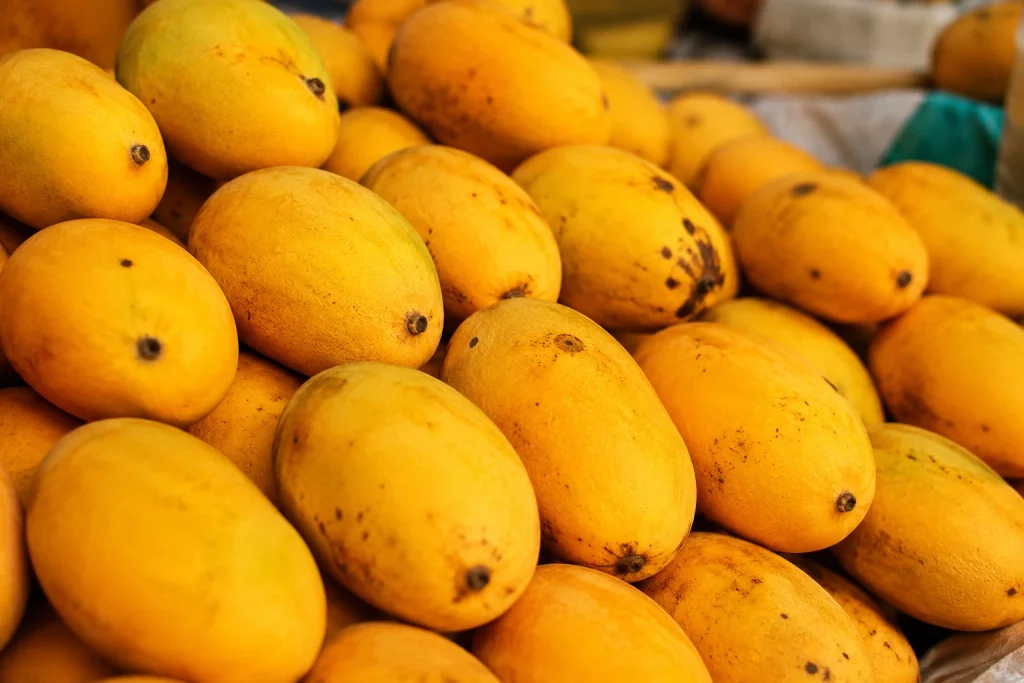 Pakistan mango exports decline as Middle East conflict disrupts trade routes and raises freight costs for exporters.