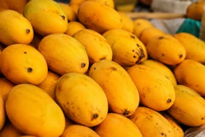 Pakistan mango exports decline as Middle East conflict disrupts trade routes and raises freight costs for exporters.